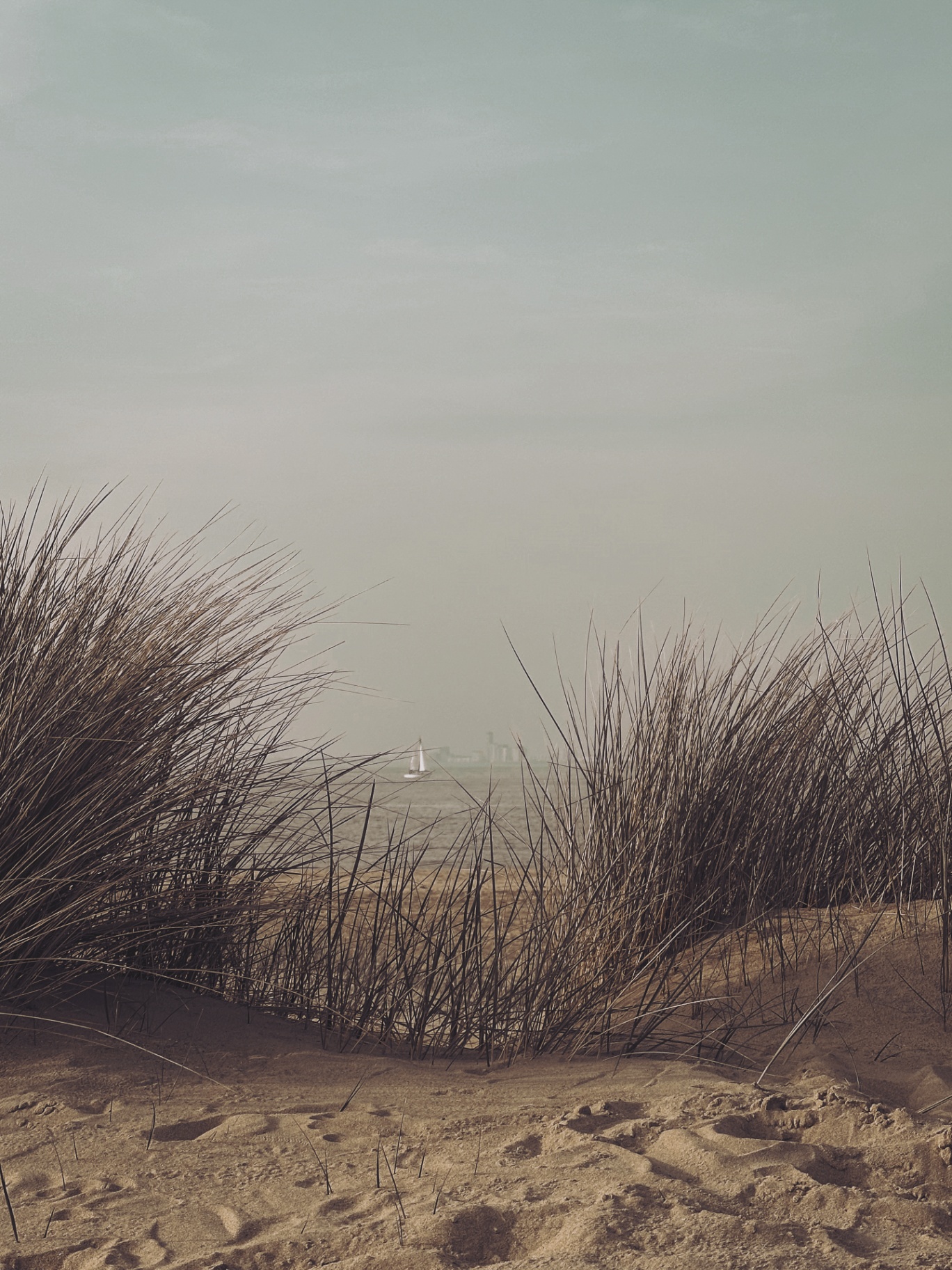 Dune grass in the foreground with a single sailboat on a hazy horizon.