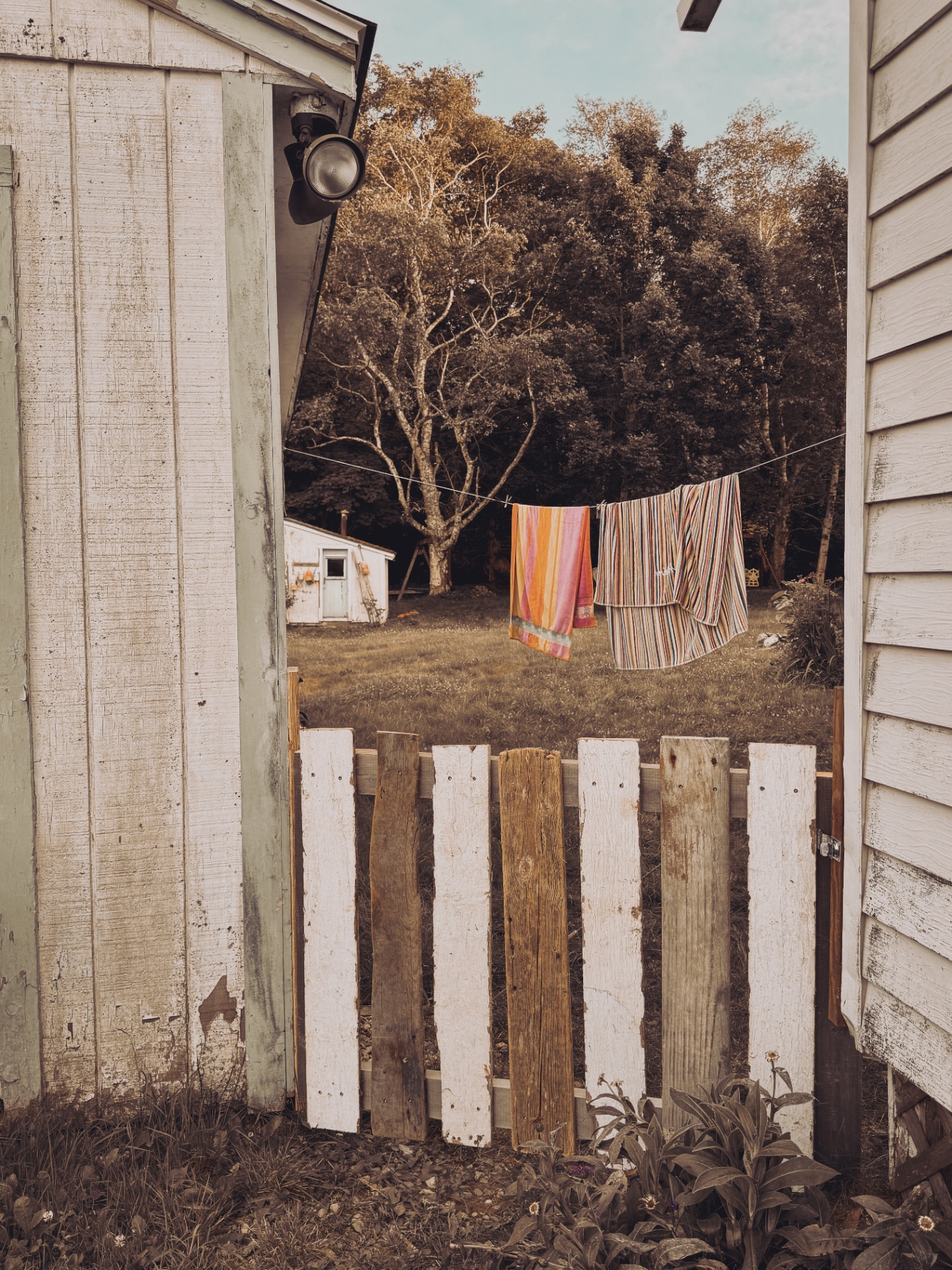 A weathered coastal cottage with laundry drying on the line and long shadows in late-day light.